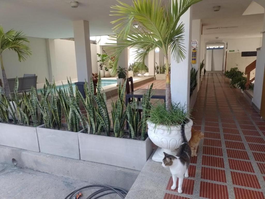 Apartamento A 5 Minutos De La Playa Horizonte,